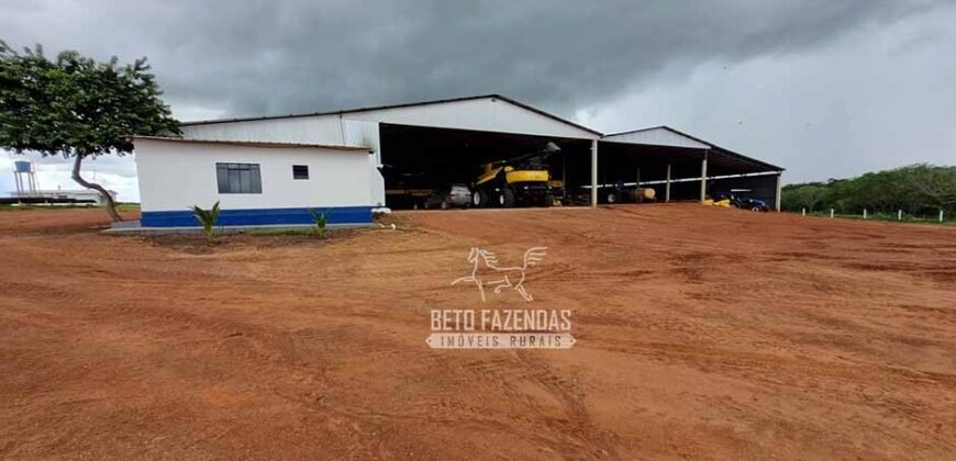 Fazenda Produtiva à Venda 12.000 has – Potencial Agrícola | Nova Ubiratã/MT