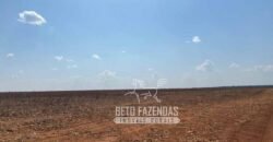 Fazenda Produtiva à Venda 12.000 has – Potencial Agrícola | Nova Ubiratã/MT