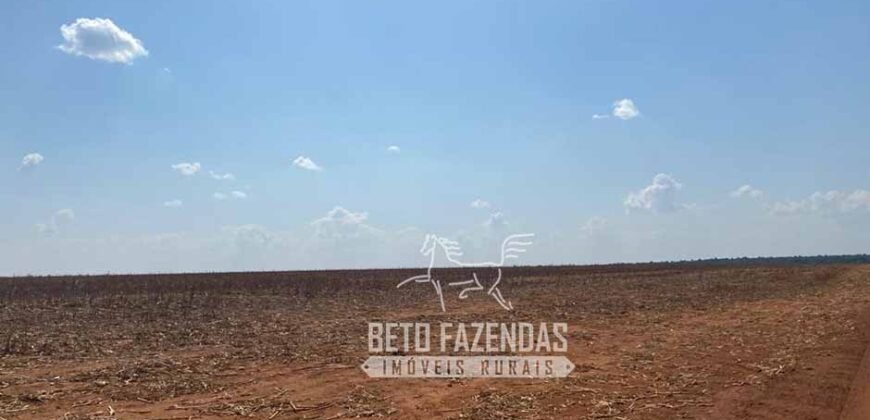 Fazenda Produtiva à Venda 12.000 has – Potencial Agrícola | Nova Ubiratã/MT