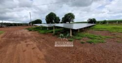 Fazenda Produtiva à Venda 12.000 has – Potencial Agrícola | Nova Ubiratã/MT