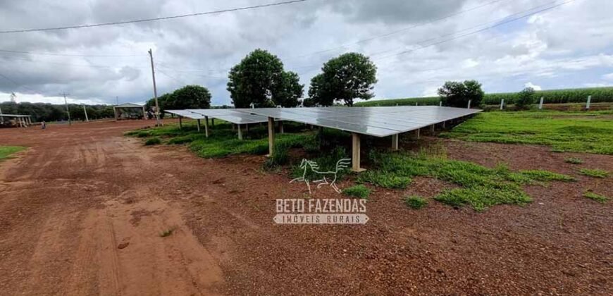 Fazenda Produtiva à Venda 12.000 has – Potencial Agrícola | Nova Ubiratã/MT