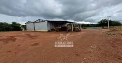 Fazenda Produtiva à Venda 12.000 has – Potencial Agrícola | Nova Ubiratã/MT