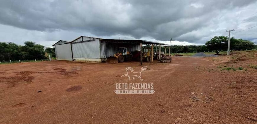 Fazenda Produtiva à Venda 12.000 has – Potencial Agrícola | Nova Ubiratã/MT