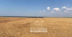 Fazenda Produtiva à Venda 12.000 has – Potencial Agrícola | Nova Ubiratã/MT