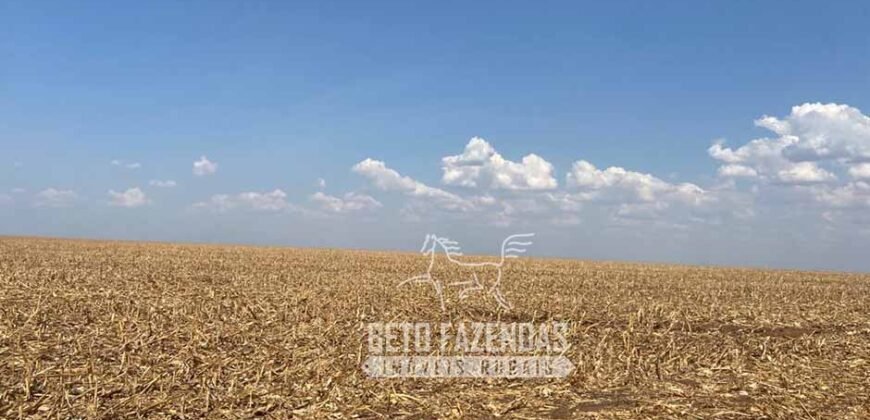 Fazenda Produtiva à Venda 12.000 has – Potencial Agrícola | Nova Ubiratã/MT