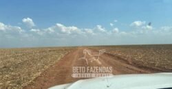 Fazenda Produtiva à Venda 12.000 has – Potencial Agrícola | Nova Ubiratã/MT