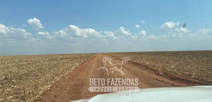 Fazenda Produtiva à Venda 12.000 has – Potencial Agrícola | Nova Ubiratã/MT