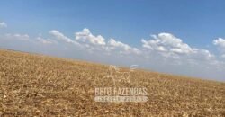 Fazenda Produtiva à Venda 12.000 has – Potencial Agrícola | Nova Ubiratã/MT