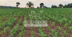 Fazenda à Venda 200 alqueires Estrutura Completa | Nova Califórnia/RO