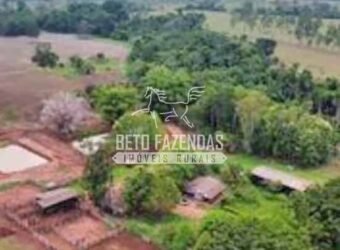 Fazenda à Venda 200 alqueires Estrutura Completa | Nova Califórnia/RO