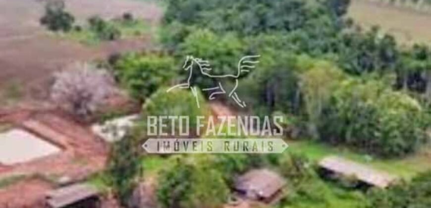 Fazenda à Venda 200 alqueires Estrutura Completa | Nova Califórnia/RO