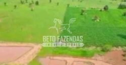 Fazenda à Venda 200 alqueires Estrutura Completa | Nova Califórnia/RO