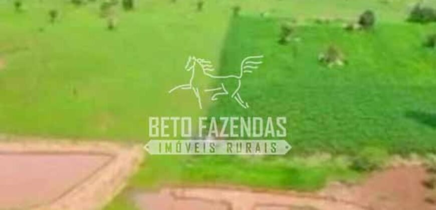 Fazenda à Venda 200 alqueires Estrutura Completa | Nova Califórnia/RO