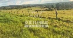 Fazenda à Venda 200 alqueires Estrutura Completa | Nova Califórnia/RO