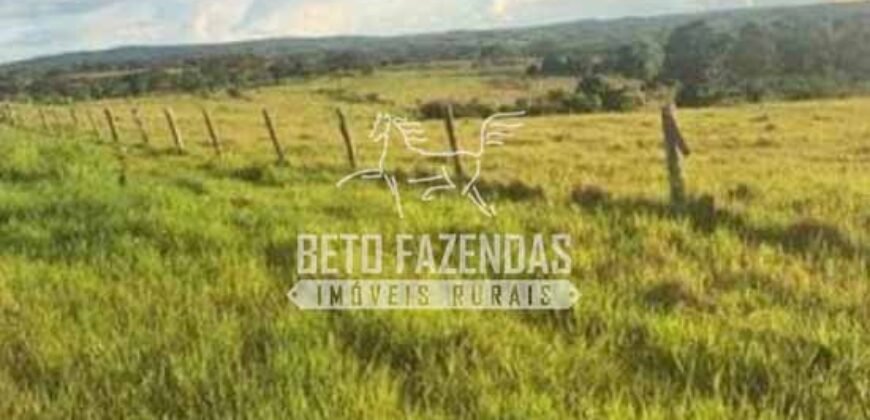 Fazenda à Venda 200 alqueires Estrutura Completa | Nova Califórnia/RO