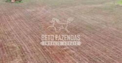 Fazenda à Venda 200 alqueires Estrutura Completa | Nova Califórnia/RO
