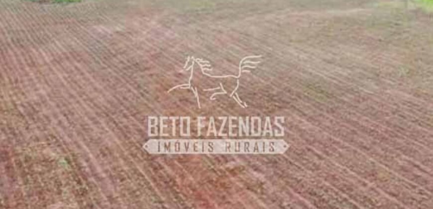Fazenda à Venda 200 alqueires Estrutura Completa | Nova Califórnia/RO