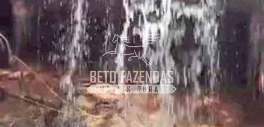 Fazenda à Venda 200 alqueires Estrutura Completa | Nova Califórnia/RO