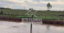 Fazenda à Venda 200 alqueires Estrutura Completa | Nova Califórnia/RO