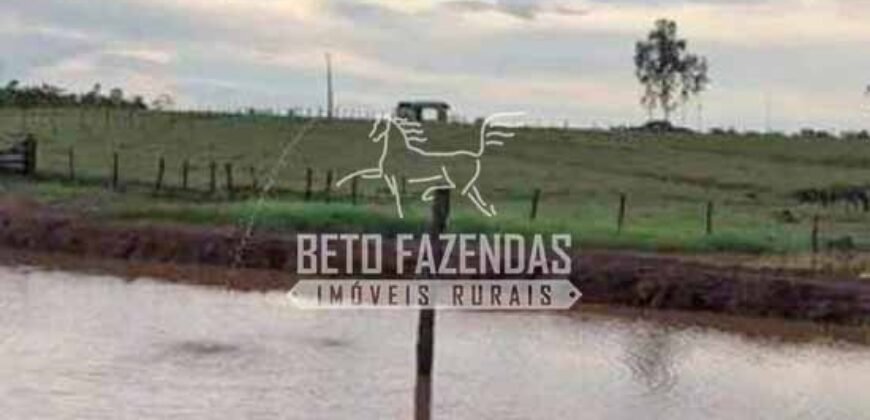 Fazenda à Venda 200 alqueires Estrutura Completa | Nova Califórnia/RO