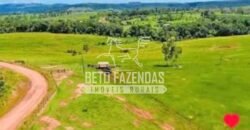 Fazenda à Venda 200 alqueires Estrutura Completa | Nova Califórnia/RO