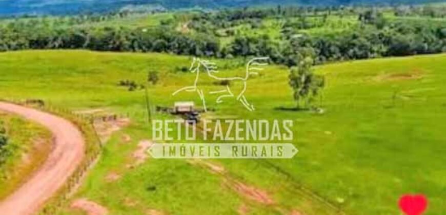 Fazenda à Venda 200 alqueires Estrutura Completa | Nova Califórnia/RO