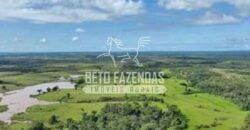 Fazenda à Venda 200 alqueires Estrutura Completa | Nova Califórnia/RO