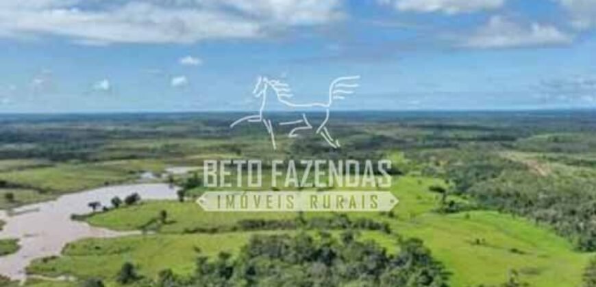 Fazenda à Venda 200 alqueires Estrutura Completa | Nova Califórnia/RO