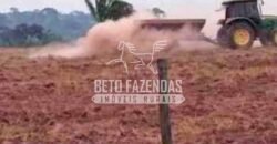 Fazenda à Venda 200 alqueires Estrutura Completa | Nova Califórnia/RO