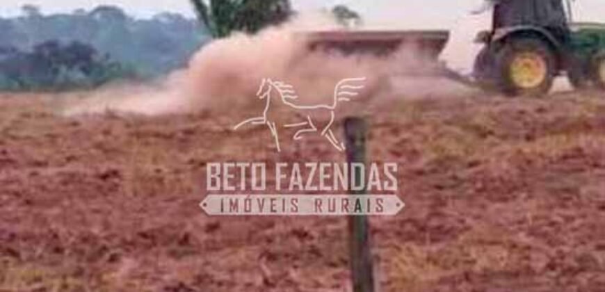 Fazenda à Venda 200 alqueires Estrutura Completa | Nova Califórnia/RO