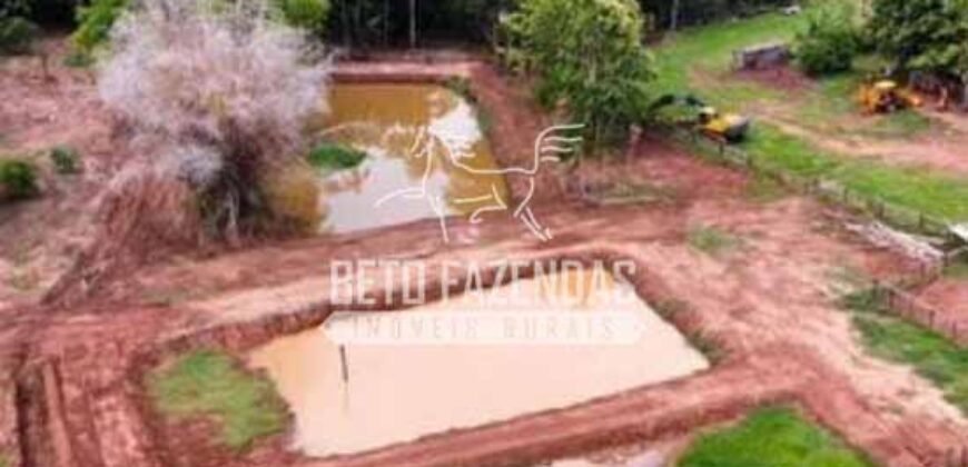 Fazenda à Venda 200 alqueires Estrutura Completa | Nova Califórnia/RO