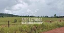 Fazenda à Venda 200 alqueires Estrutura Completa | Nova Califórnia/RO