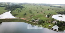 Fazenda à venda 407 alqueires Produtiva | São Miguel do Passa Quatro/ GO