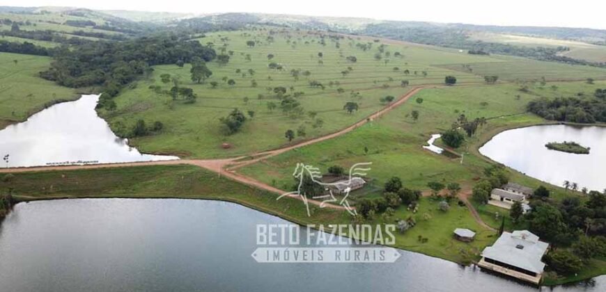 Fazenda à venda 407 alqueires Produtiva | São Miguel do Passa Quatro/ GO