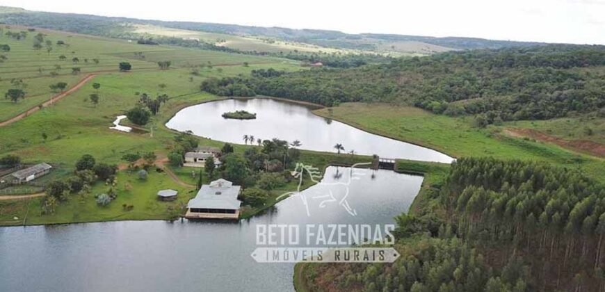 Fazenda à venda 407 alqueires Produtiva | São Miguel do Passa Quatro/ GO