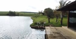 Fazenda à venda 407 alqueires Produtiva | São Miguel do Passa Quatro/ GO