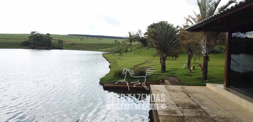 Fazenda à venda 407 alqueires Produtiva | São Miguel do Passa Quatro/ GO