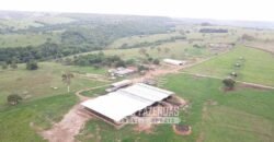 Fazenda à venda 407 alqueires Produtiva | São Miguel do Passa Quatro/ GO