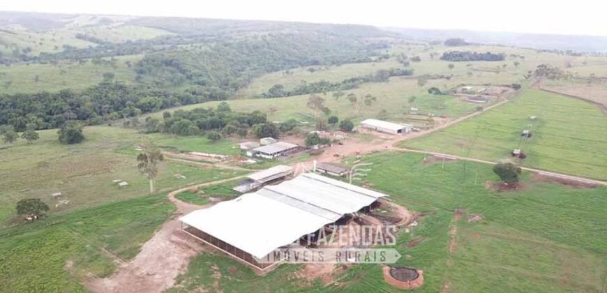 Fazenda à venda 407 alqueires Produtiva | São Miguel do Passa Quatro/ GO