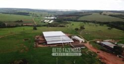Fazenda à venda 407 alqueires Produtiva | São Miguel do Passa Quatro/ GO