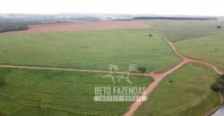 Fazenda à venda 407 alqueires Produtiva | São Miguel do Passa Quatro/ GO