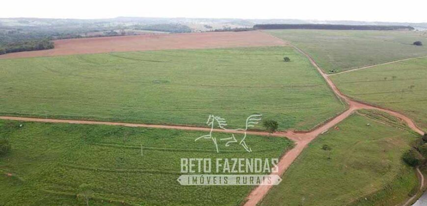 Fazenda à venda 407 alqueires Produtiva | São Miguel do Passa Quatro/ GO