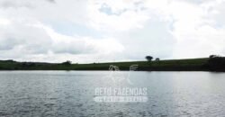 Fazenda à venda 407 alqueires Produtiva | São Miguel do Passa Quatro/ GO