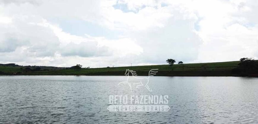 Fazenda à venda 407 alqueires Produtiva | São Miguel do Passa Quatro/ GO