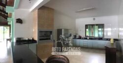 Fazenda à venda 407 alqueires Produtiva | São Miguel do Passa Quatro/ GO