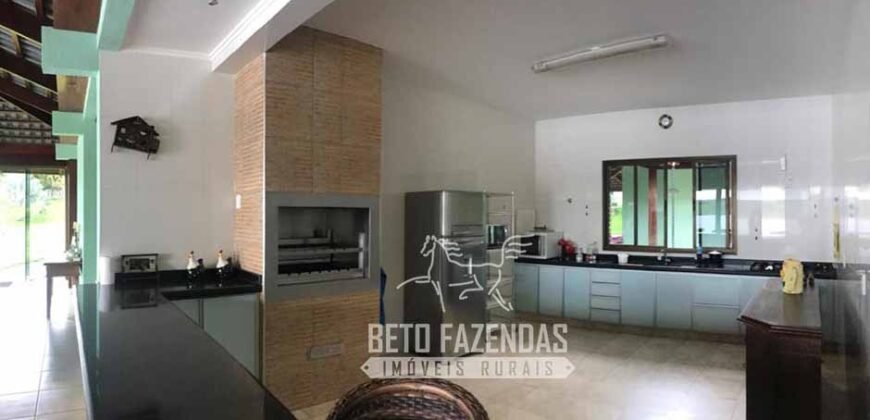 Fazenda à venda 407 alqueires Produtiva | São Miguel do Passa Quatro/ GO