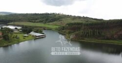 Fazenda à venda 407 alqueires Produtiva | São Miguel do Passa Quatro/ GO