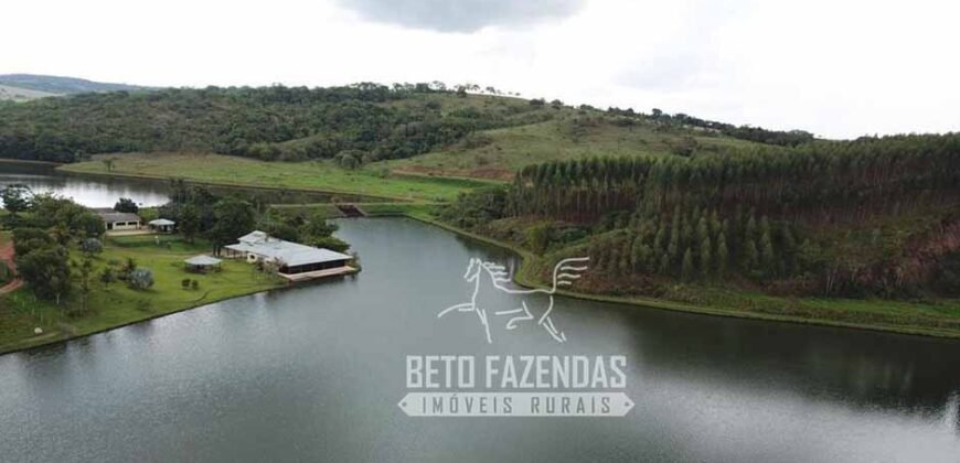 Fazenda à venda 407 alqueires Produtiva | São Miguel do Passa Quatro/ GO