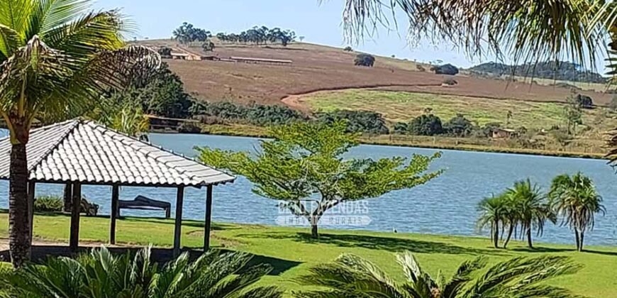 Fazenda à venda 407 alqueires Produtiva | São Miguel do Passa Quatro/ GO