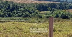 Fazenda à venda 407 alqueires Produtiva | São Miguel do Passa Quatro/ GO